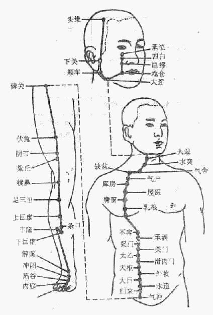 八會穴口訣|醫砭 » 中華針灸 » 八會穴